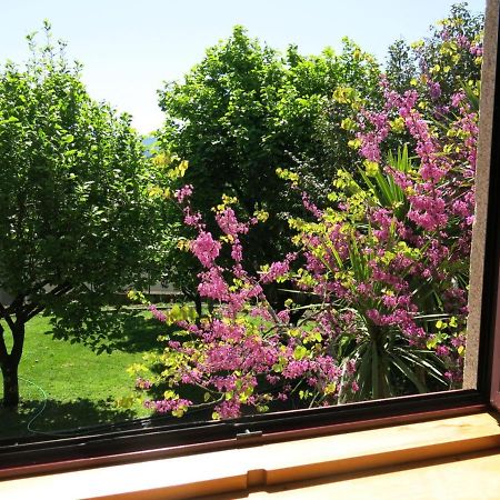 브라가 Casa Dos Tinocos 빌라 외부 사진