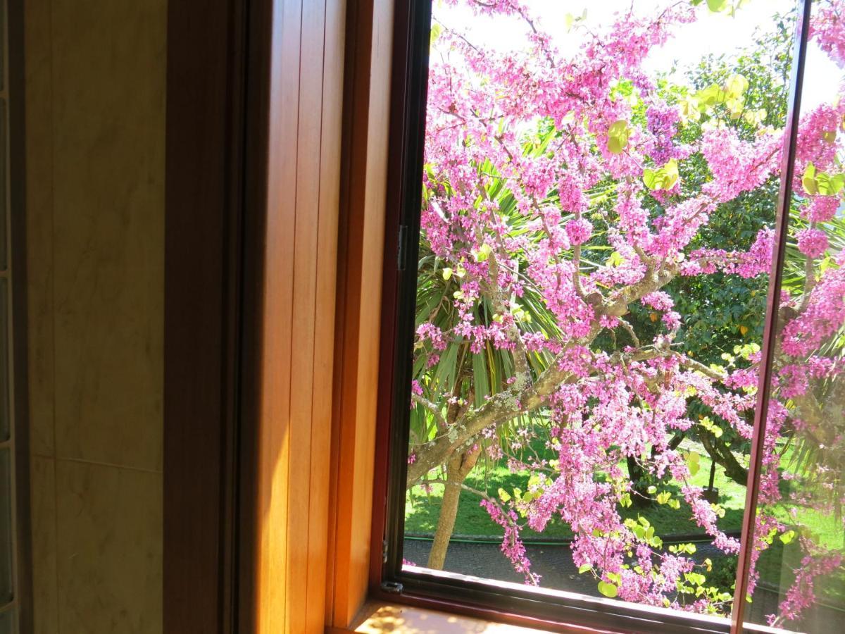 브라가 Casa Dos Tinocos 빌라 외부 사진
